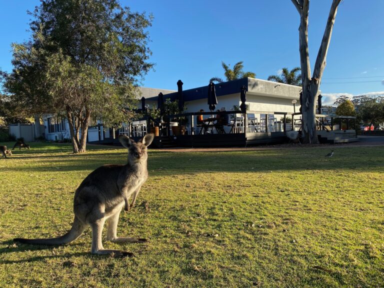 Aqua Pambula 1 1 768x576