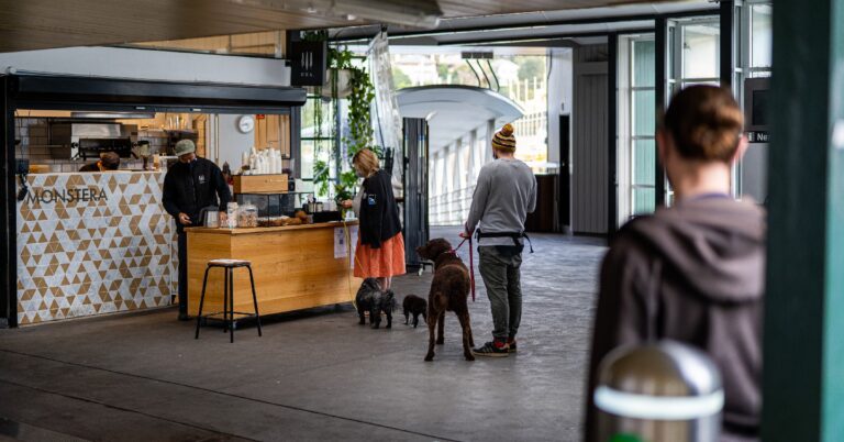 Cafe Monstera 2 768x402