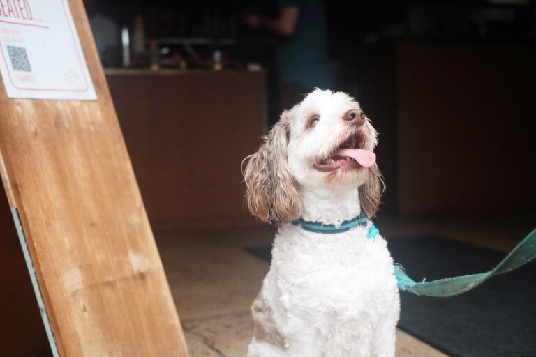 The Carpenter 2 768x512