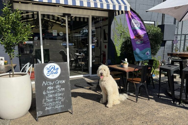 The Pan Stone 1 768x512