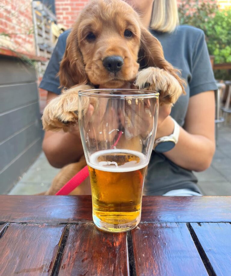 Union Hotel Ascot Vale 3 768x915