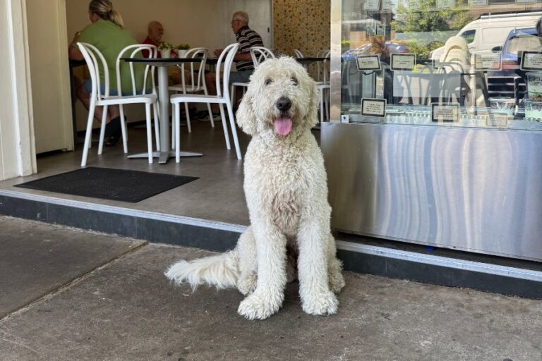 Backstreet Brews 3 768x512