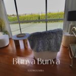 Bunya Bunya 21 150x150