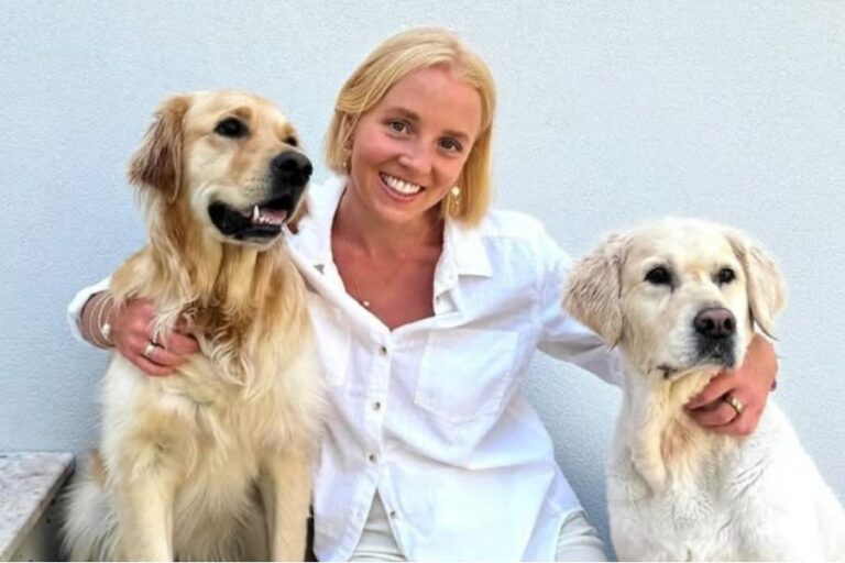 My Corner Vet 1 768x512