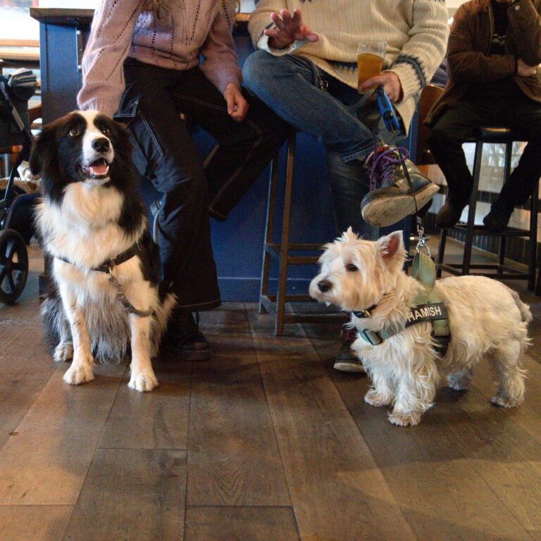 Salisbury Hotel 1 768x768