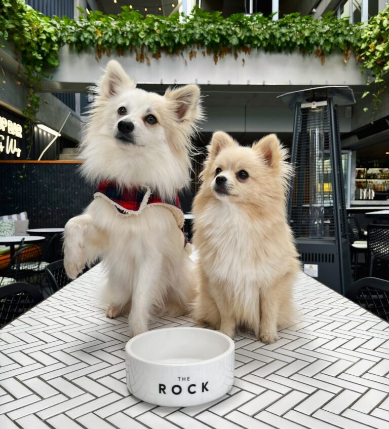 The Rock Toowoomba 1 768x846