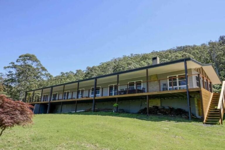 dog friendly accommodation budgong lodge 1 768x512