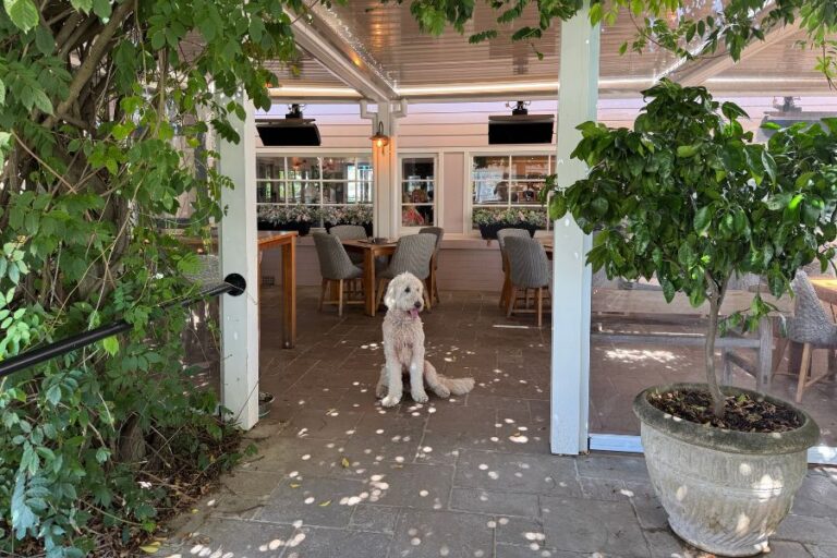 Briars Inn 3 768x512