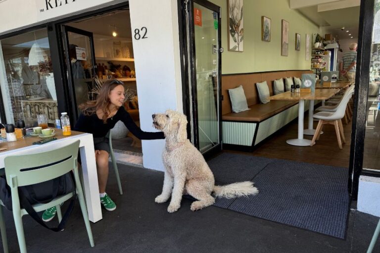 Deli on Kinghorne 10 768x512