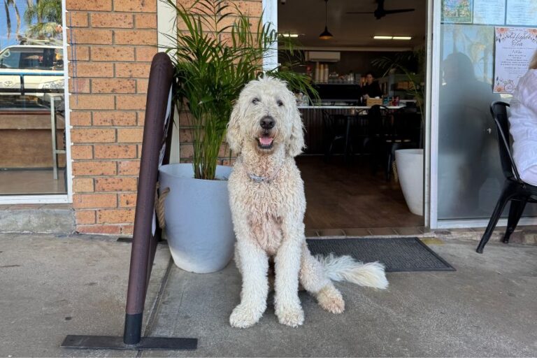 Neck of the Woods 1 768x512