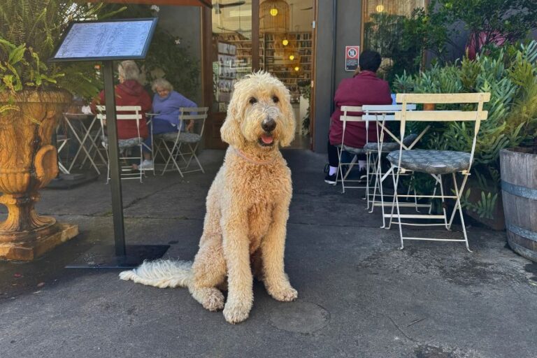 Plantation 1 768x512