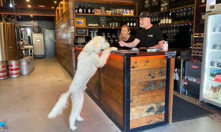 Stoic Brewing 106 1 768x461