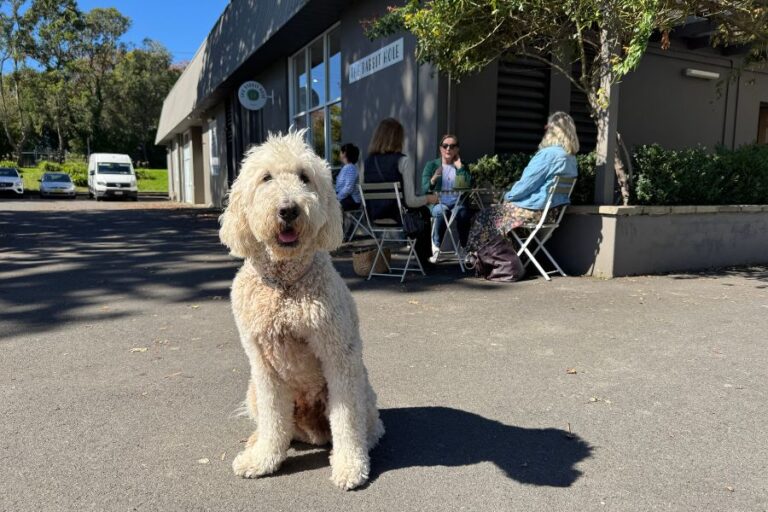 The Rabbit Hole 1 768x512
