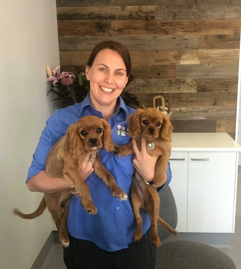 Vets of Geelong 2 768x856