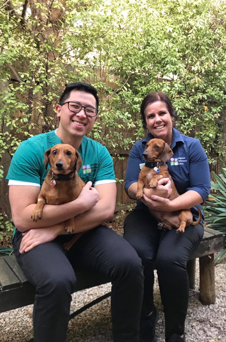 Vets of Geelong 3 768x1165