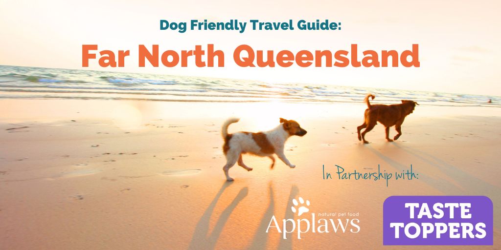 dog-friendly-far-north-qld-applaws
