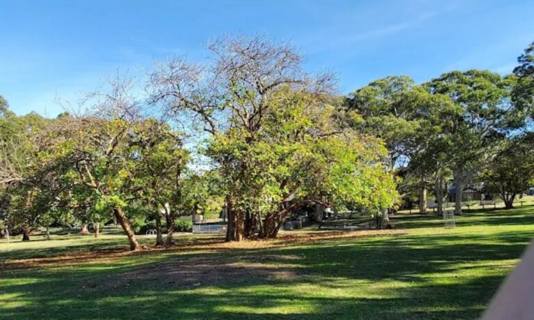 Burraneer Park Walk 1 768x461