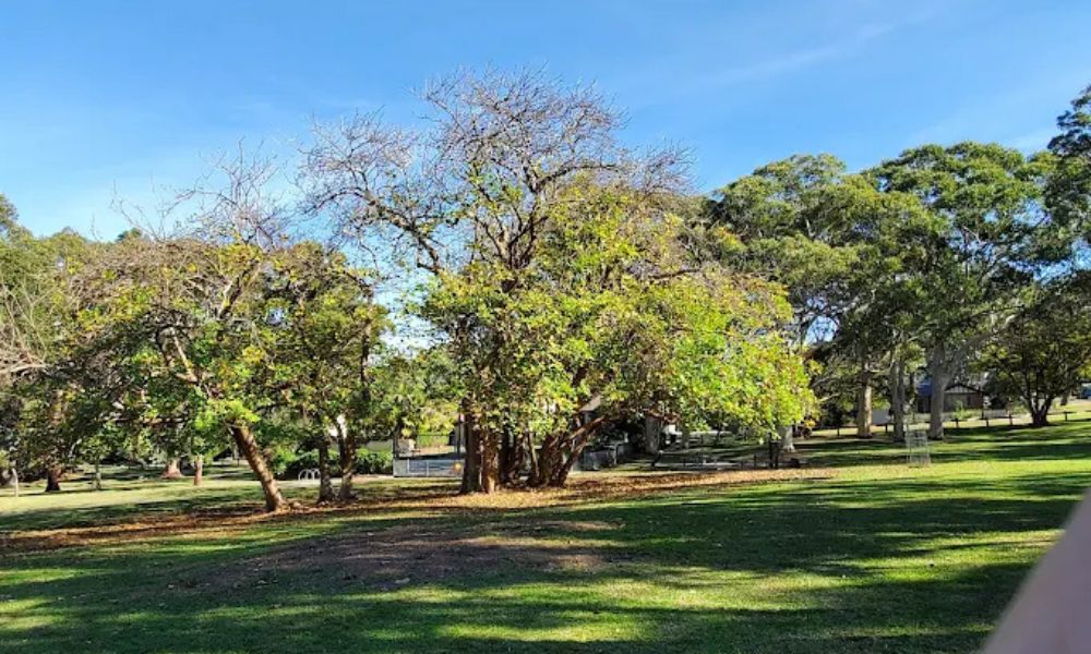 Burraneer Park Walk 1