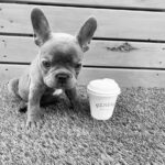 Hendrix Cafe 4 150x150