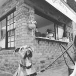 Hendrix Cafe 5 150x150