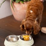 La Bottega 4 150x150