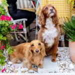 La Bottega 9 150x150