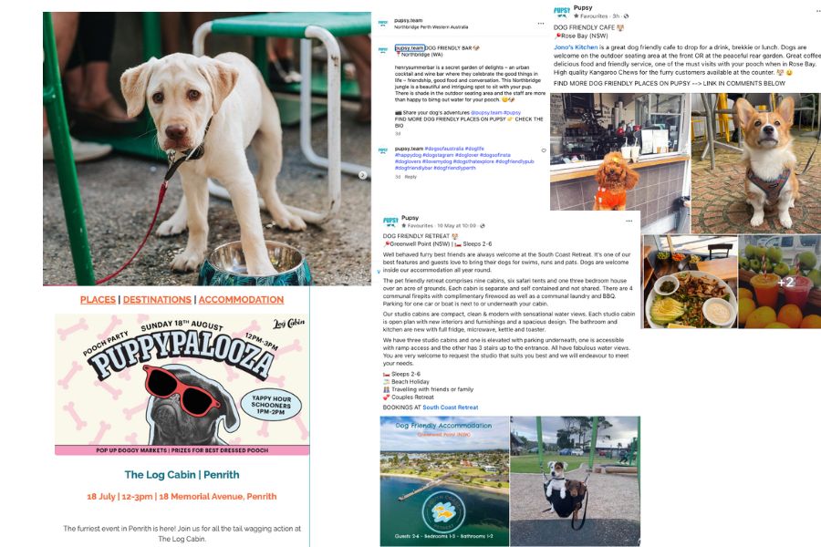 Socials & Newsletters Socials & Newsletters