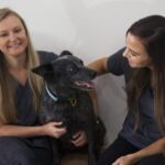 South Side Vet 2 150x150