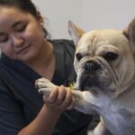 South Side Vet 3 150x150