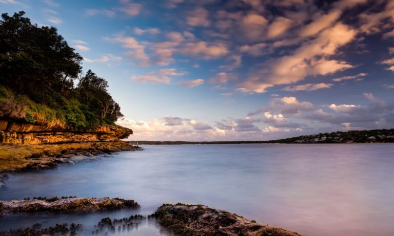 The Esplanade via Oak Park 1 768x461