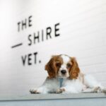 The Shire Vet 103 150x150
