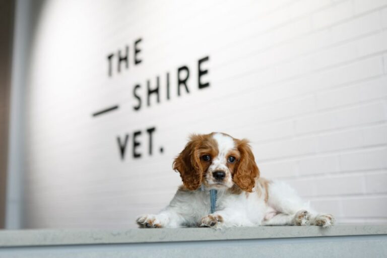 The Shire Vet 103 768x512