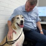 The Shire Vet 105 150x150