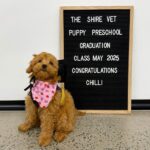 The Shire Vet 106 150x150