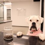 The Shire Vet 107 150x150