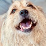 The Village Emporium 6 150x150