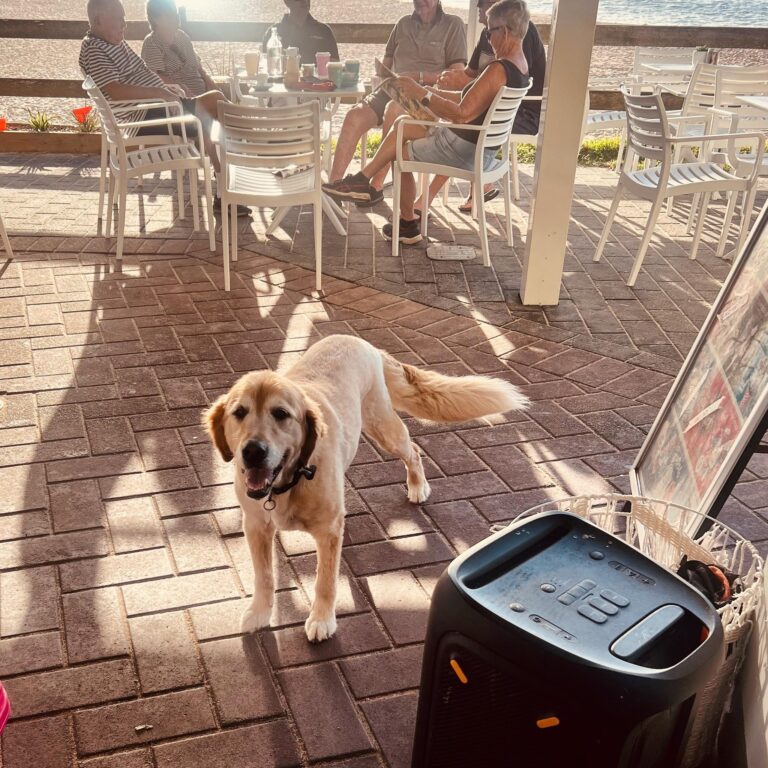 Village Kiosk 5 768x768