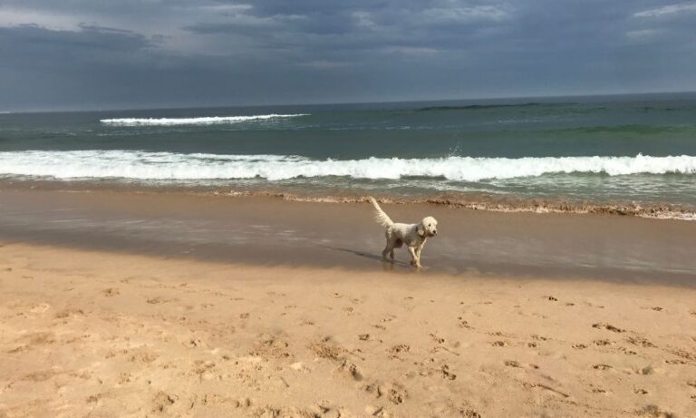 Wanda to Boat Harbour 1 768x461