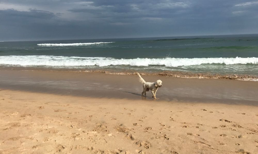 Wanda to Boat Harbour 1