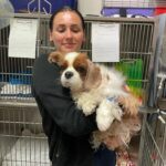 Elanora Vet 1 150x150