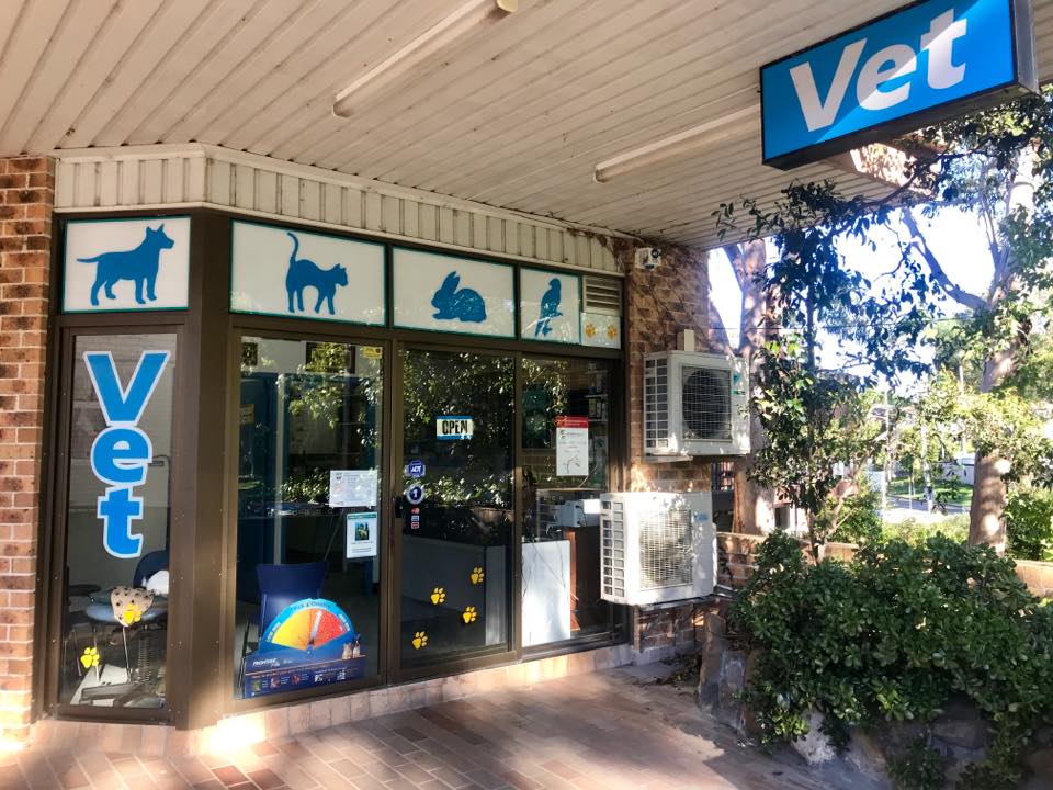 Elanora Vet 2