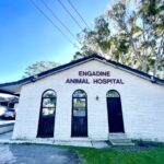 Engadine Vet 1 150x150