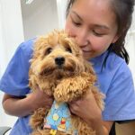 Engadine Vet 10 150x150