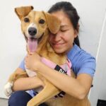 Engadine Vet 11 150x150