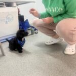 Engadine Vet 3 150x150