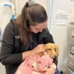 Engadine Vet 4 150x150