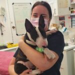 Engadine Vet 8 150x150