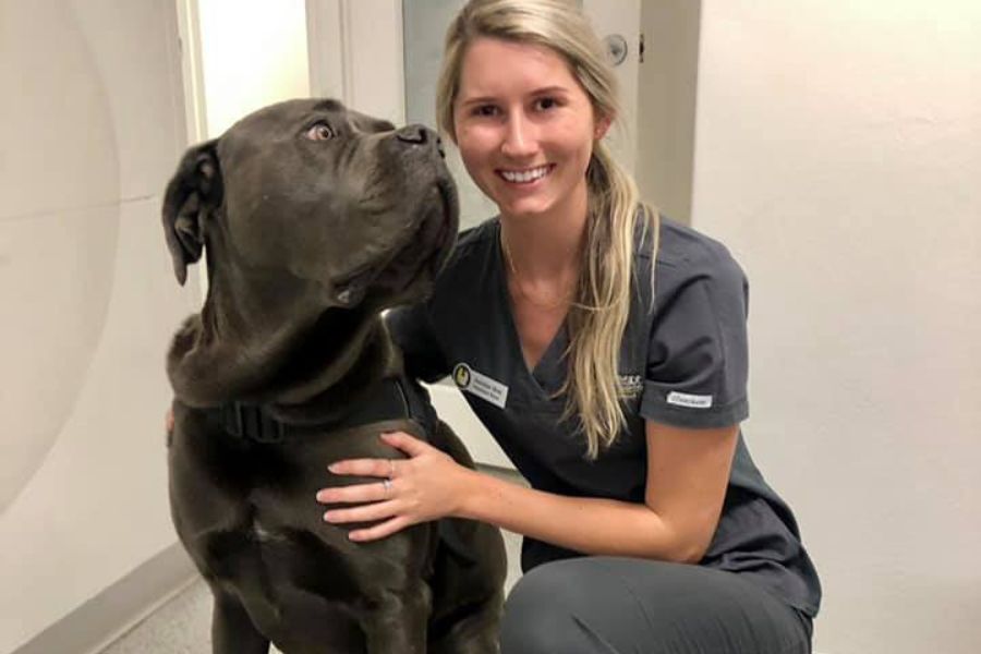 Southside Animal Hospital Cronulla 11