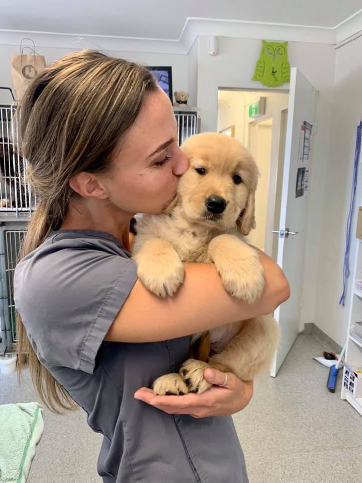 Southside Animal Hospital Cronulla 3