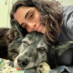 Southside Animal Hospital Cronulla 4 150x150